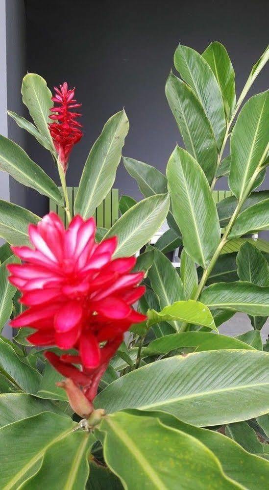 Kanvela Resort Kanchanaburi Zewnętrze zdjęcie