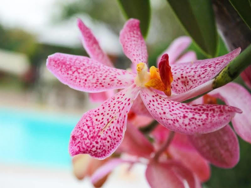 Kanvela Resort Kanchanaburi Zewnętrze zdjęcie